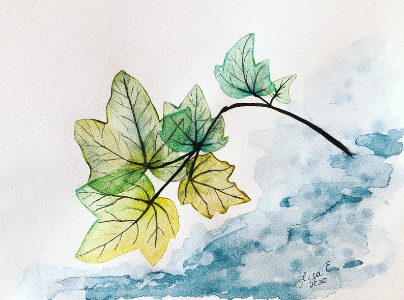 Transparent ivy print