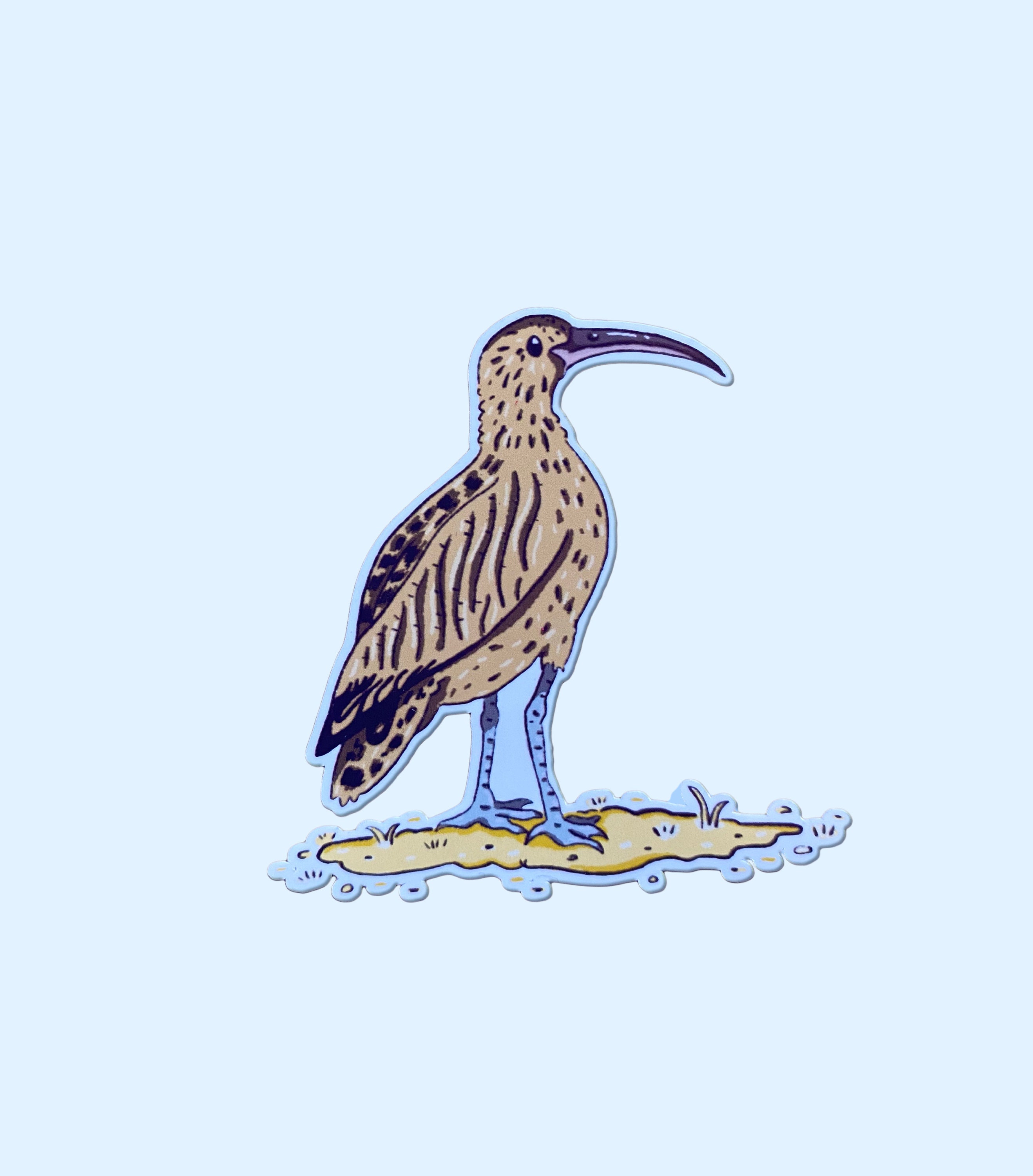 Long-billed Curlew Bird Art Sticker - Waterproof Vinyl - Etsy