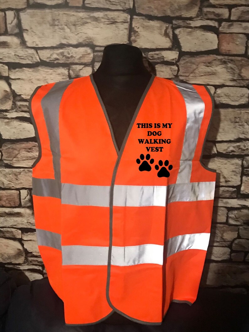 Reactive Dog Hi Viz Vest High Visibility Dog Training Vest Etsy UK