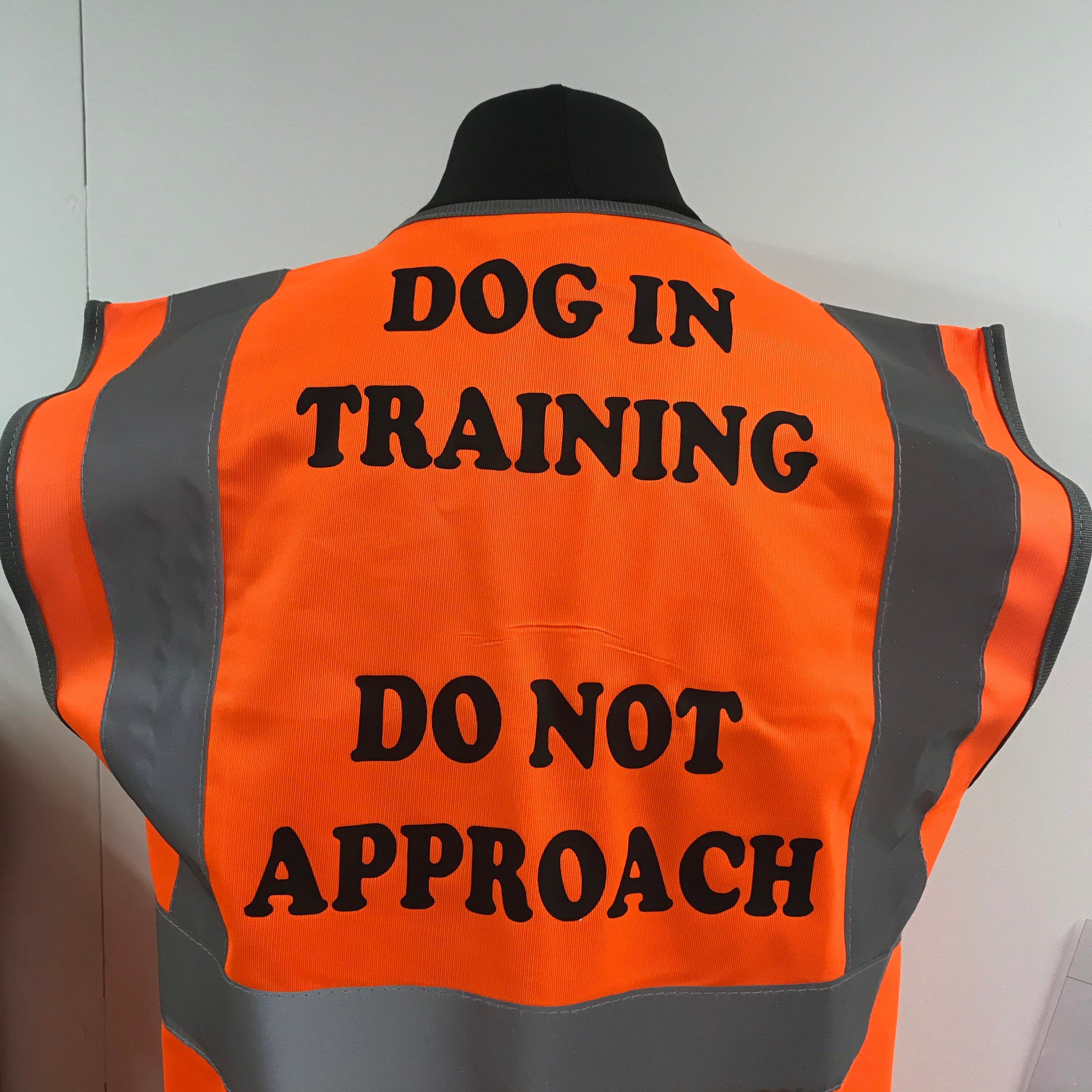 Dog in Training Do Not Approach Hi Vis Vest Safety Vest High Etsy UK