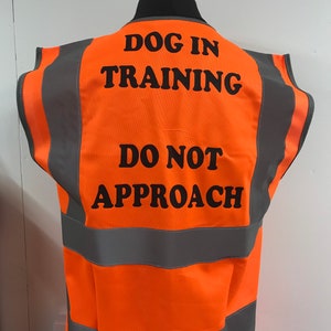 Dog in Training Do Not Approach High Visibility Vest, hi vis dog walking safety clothing, keeping dog safe, Puppy training clothing