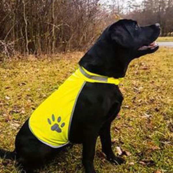 Dog High Visibility Vest Etsy