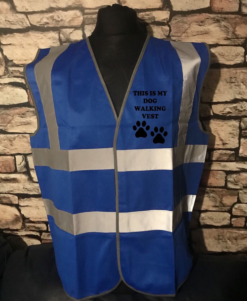 Reactive Dog Hi Viz Vest High Visibility Dog Training Vest Etsy UK