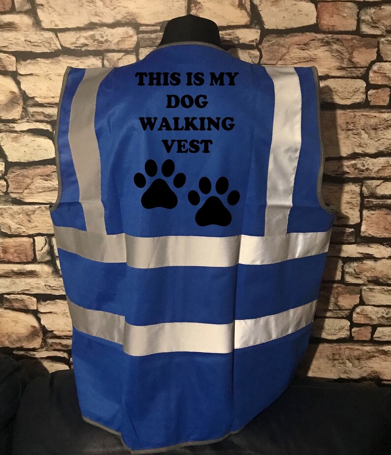 Reactive Dog Hi Viz Vest High Visibility Dog Training Vest Etsy UK