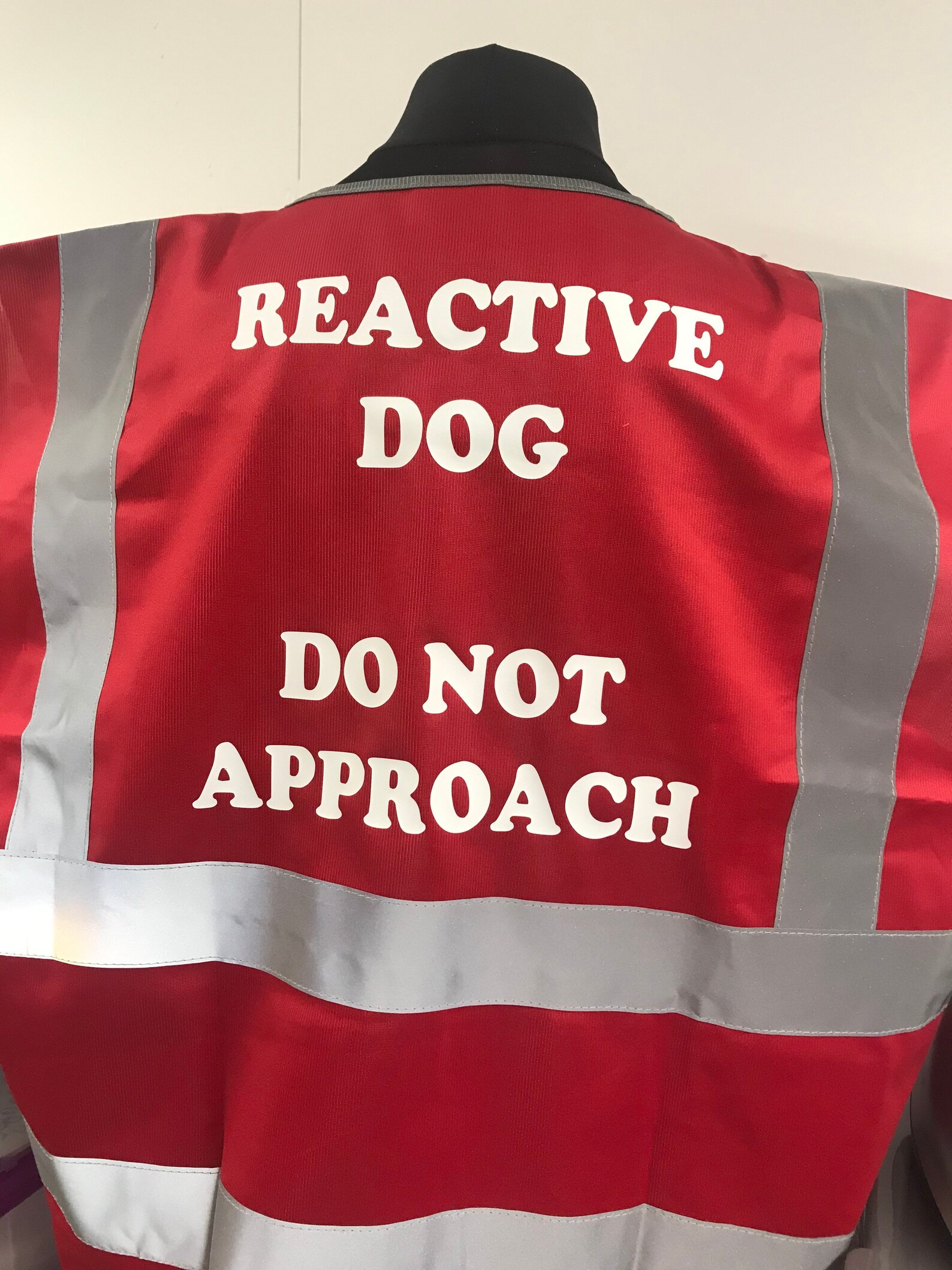 Reactive Dog Hi Viz Vest High Visibility Dog Training Vest Etsy UK