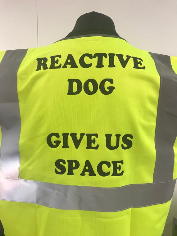 Reactive Dog Hi Viz Vest High Visibility Dog Training Vest