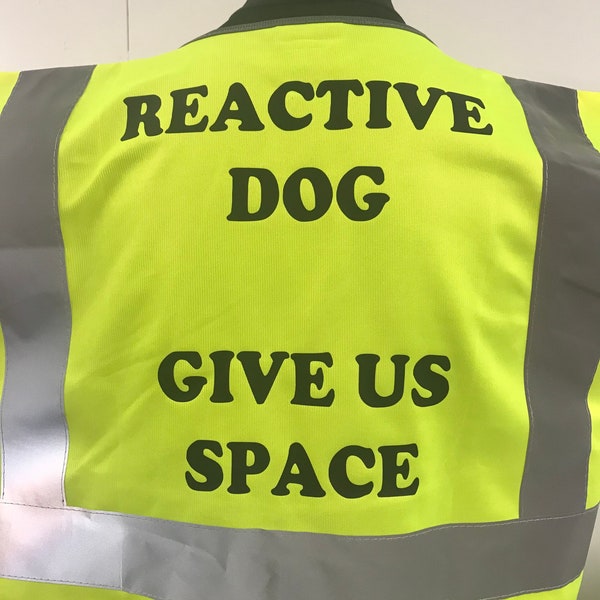 Reactive Dog Hi Viz Vest, high visibility dog training vest, reflective, safety warning clothing, do not approach, give us space