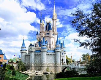 Cinderella Castle reflection