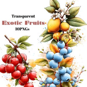 Puede incluir: Ilustración en acuarela de frutas exóticas, incluyendo cerezas, limones y arándanos. La imagen contiene el texto "Transparent Exotic Fruits 10 PNGs."