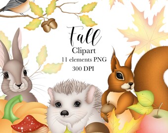 Forest Animals Clipart, Fall Clipart, Autumn Clipart, Animals Clipart, Digital Clipart, Pumpkin Clipart, Fall Leaves Clipart, PNG