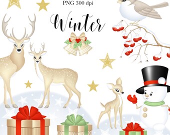May include: Winter themed digital clipart set featuring a snowman, deer, a bird on a branch with red berries, stars, and gift boxes with green and red bows. The text "Winter" is written in black cursive.