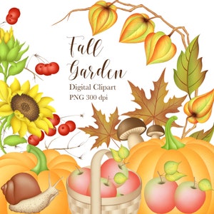 Clipart giardino autunnale, Autunno CLipart, Clipart autunno, Pampkin Clipart, Clipart foglie autunnali, Clipart mela, PNG, Clipart digitale