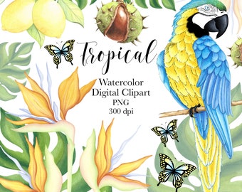 Watercolor Tropical Clipart, Tropical Clipart, Summer Digital Clipart Clipart, Parrot Clipart, Floral Clipart, Watercolor Digital Clipart