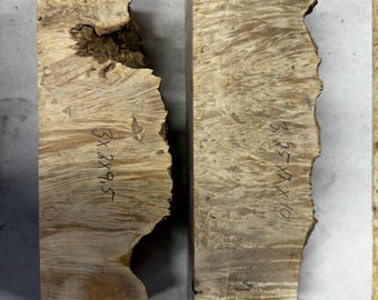 2 stabilized box elder burl blocks