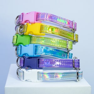 Pink // Yellow // Green // Blue // Purple // Silver // Rainbow // Holographic // Small Dog Collar // Adjustable