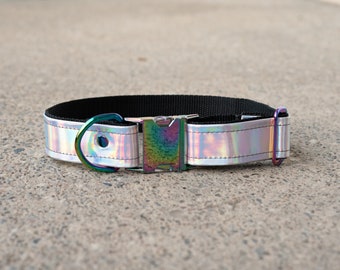 Silver // Holographic // Extra Wide Dog Collar // Rainbow Buckle // Neo Chrome Buckle // Adjustable