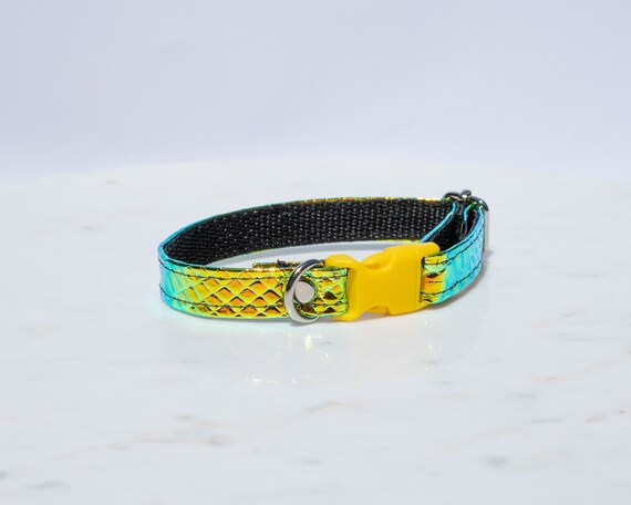 bowser dog collar
