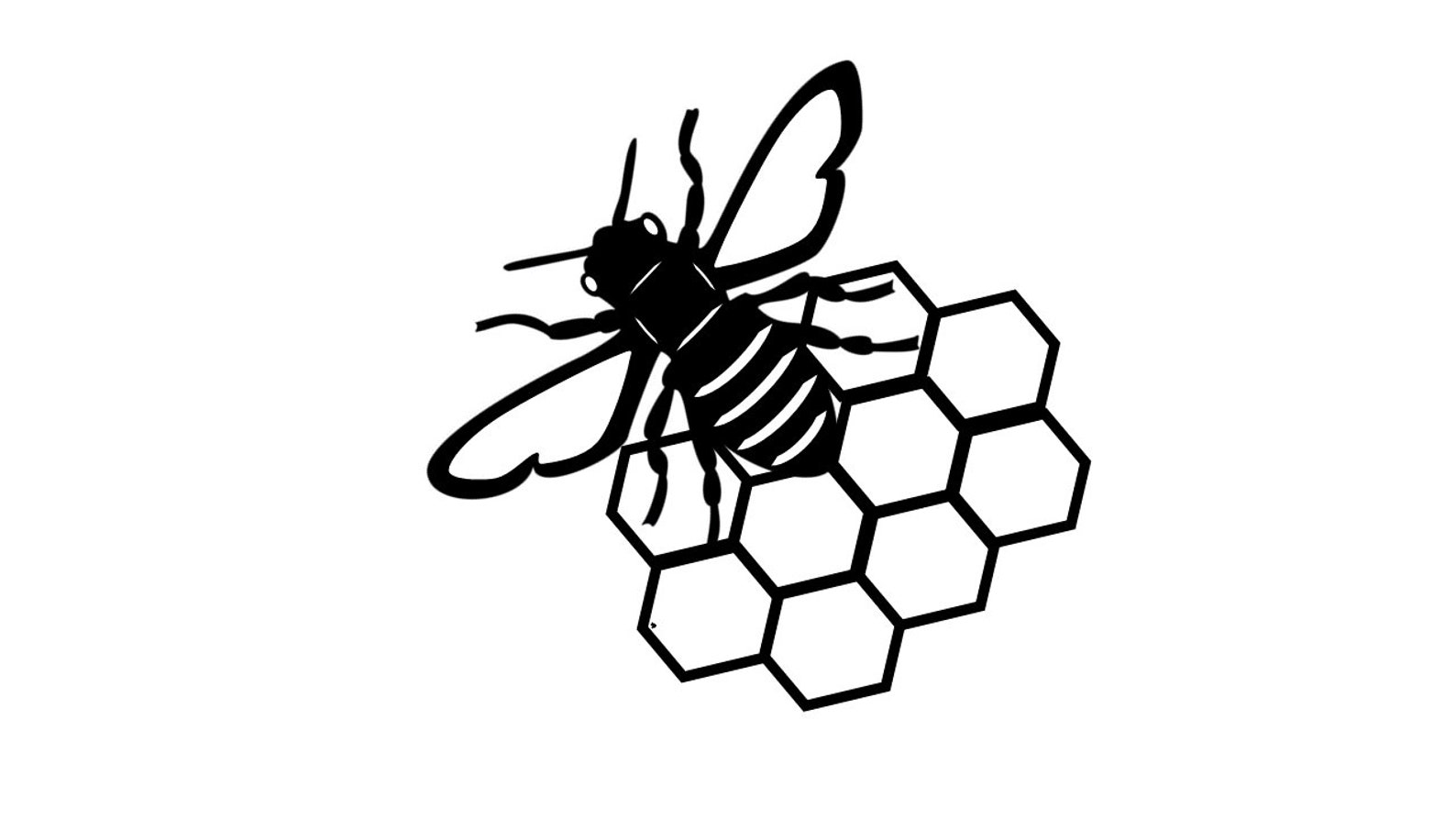 bee-with-honey-comb-svg-or-png-etsy