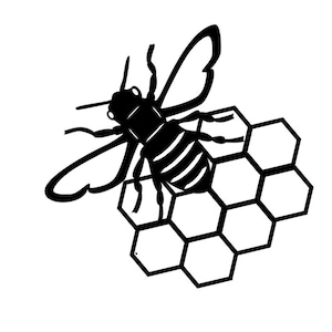 Bee with Honey Comb...SVG or PNG