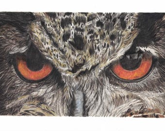 Lámina realista de búho dibujada a lápiz de color, arte mural de fauna silvestre (descarga digital)