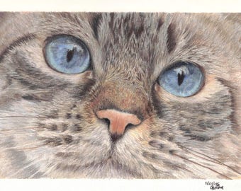 Retrato realista de gato atigrado para pared (descarga digital) – Dibujo a lápiz de color