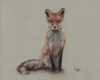 Realistic Red Fox Colored Pencil Drawing Print, Wildlife Art (Digital Download)