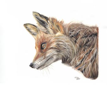 Realistic Red Fox Colored Pencil Print, Wildlife Wall Art (Digital Download)