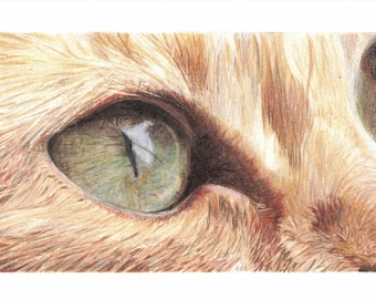 Dessin au crayon de couleur oeil de chat, impression d'art animalier réaliste (téléchargement numérique)