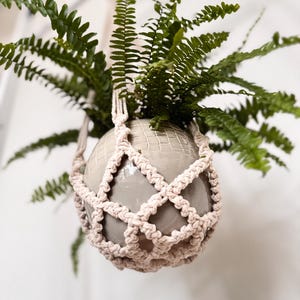 Könnte beinhalten: Ein Hängepflanztopf aus Makramee mit einem hellgrauen Keramiktopf und einer grünen Farnpflanze darin.