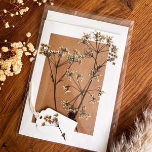 Carte d'anniversaire / carte de vœux faite main / carte faite main / vraies fleurs / fleurs pressées / fleurs séchées