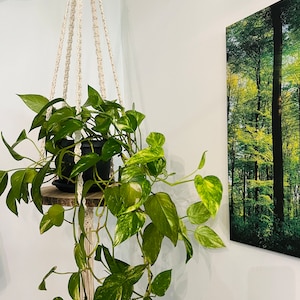 Könnte beinhalten: Ein Makramee-Pflanzenhänger mit einer grün-weiß panaschierten Pflanze, die daran hängt. Die Pflanze steht in einem schwarzen Topf und der Hänger ist aus natürlichem weißem Seil gefertigt.