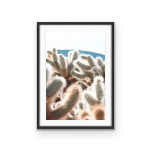 Cactus Valley Desert Cholla Cactus Fine Art Print, Cactus Print, Desert Boho Wall Art, Printable Photography, Cactus Poster Digital Download
