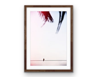 Beach Hawk - Bird Fine Art Print, Palm Tree Tropical Print, Tropical Wall Art, Printable Photography, Palm Tree  Poster, Digital Download