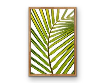 Palmblad Fine Art Photography-print, tropisch muurdecor (digitale download)