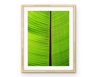 Banana Leaf Fine Art Print – Tropical Photography (Digital Download)