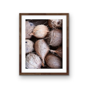 Coconuts Fine Art Photography Print - Coconut Tropical Print Wall Art, Printable Photography, Coconut  Poster, Digital Download Home Decor