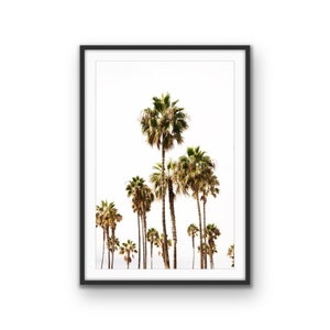 Palm Trees - &quot;Palms&quot; Fine Art Print, Palm Tree Tropical Print, Tropical Wall Art, Printable Photography, Palm Tree  Poster, Digital Download