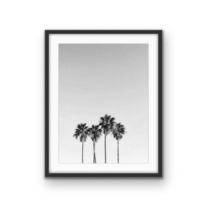 Palm Trees | Fine Art Photography Print | Tropical Beach Decor | Tropical Wall Art | Black and White Art | Palm Print | Digital Download