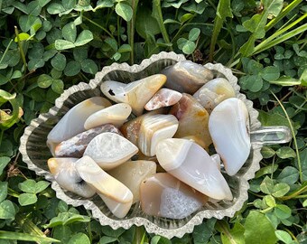 May include: A collection of agate stones in various shades of white, gray, and brown, arranged in a clear glass bowl. The stones have a natural, polished finish and display intricate patterns.