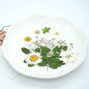 Mixed pressed flower,Pressed flower,dried flowers,dry flowers,flowers,pressed nat,dried flowers for resin,dried flower,dry flowers for resin
