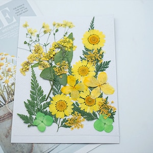 Mixed pressed flower,Pressed flower,dried flowers,dry flowers,flowers,pressed nat,dried flowers for resin,dried flower,dry flowers for resin