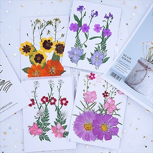 Mixed pressed flower,Pressed flower,dried flowers,dry flowers,flowers,pressed nat,dried flowers for resin,dried flower,dry flowers for resin