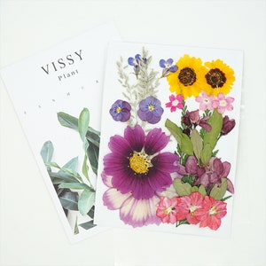 Mixed pressed flower,Pressed flower,dried flowers,dry flowers,flowers,pressed nat,dried flowers for resin,dried flower,dry flowers for resin