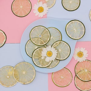 Lemon fruit specimen,Pressed flowers,dried flowers,dry flowers,flowers,presse,dried flowers for resin,dried flower,dry flowers for resin