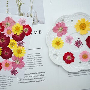 Mixed pressed flower,Pressed flower,dried flowers,dry flowers,flowers,pressed nat,dried flowers for resin,dried flower,dry flowers for resin