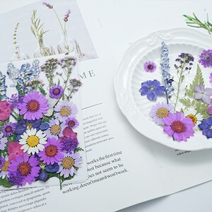 Mixed pressed flower,Pressed flower,dried flowers,dry flowers,flowers,pressed nat,dried flowers for resin,dried flower,dry flowers for resin
