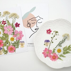 Mixed pressed flower,Pressed flower,dried flowers,dry flowers,flowers,pressed nat,dried flowers for resin,dried flower,dry flowers for resin