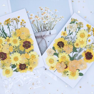 Mixed pressed flower,Pressed flower,dried flowers,dry flowers,flowers,pressed nat,dried flowers for resin,dried flower,dry flowers for resin