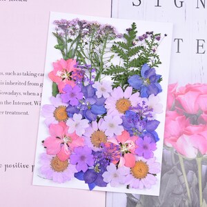 Mixed Pressed flowers,Pressed flowers,dried flowers,dry flowers,flowers,press,dried flowers for resin,dried flower,dry flowers for resin