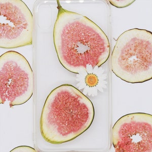 Fig fruit specimen,Pressed flowers,dried flowers,dry flowers,flowers,presse,dried flowers for resin,dried flower,dry flowers for resin